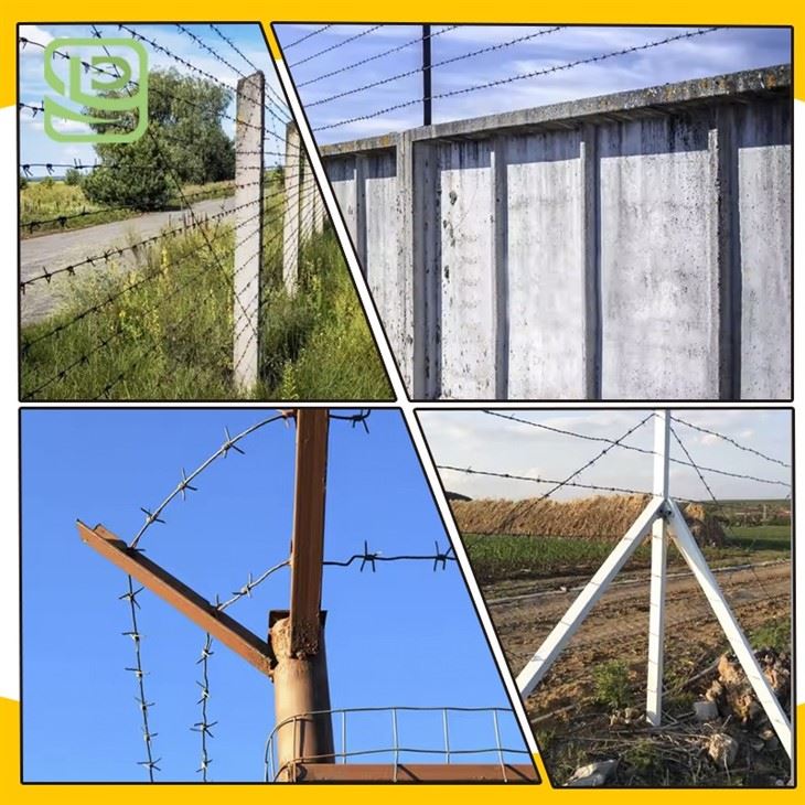 Border Protection Barbed Wire